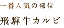 飛騨牛カルビ