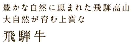 豊かな自然